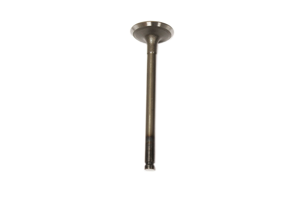 LGH10029L - VALVE-INLET-CYL - F1 - 1.8 4 CYL PET From ALLMAKES