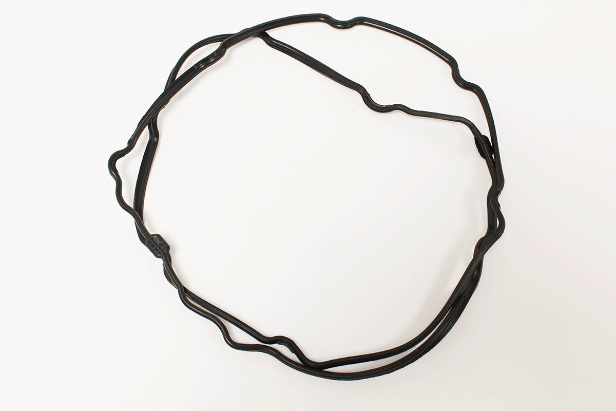 AJ812399-VR - GASKET-CAMSHAFT COVER-RH 4.2NA&SC X100/X150/X200/X250/X350 From PR2 REINZ