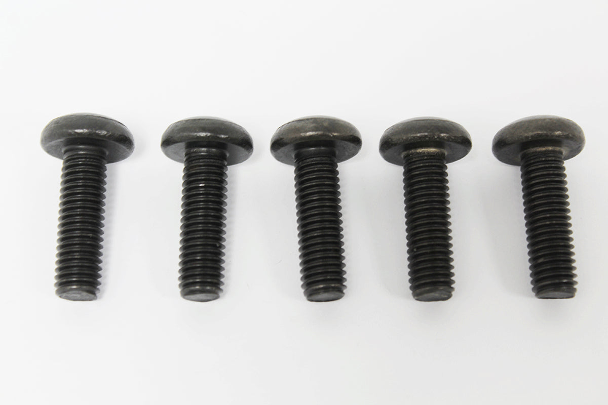 AYG100240 - SCREW - OEM From PR2 ALLMAKES OE