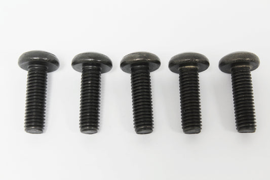 AYG100240 - SCREW - OEM From PR2 ALLMAKES OE