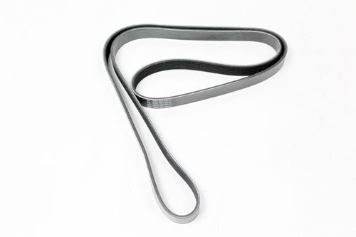 ERR6899D - DRIVE BELT - D2 - V8 From DAYCO