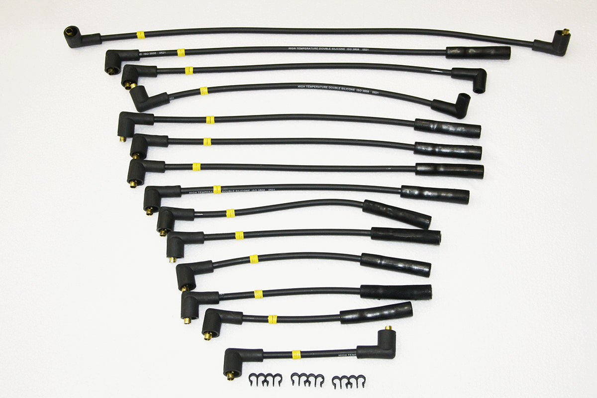 JLM9854-INT - IGNITION LEAD SET ETYPE S3 From INTERMOTOR