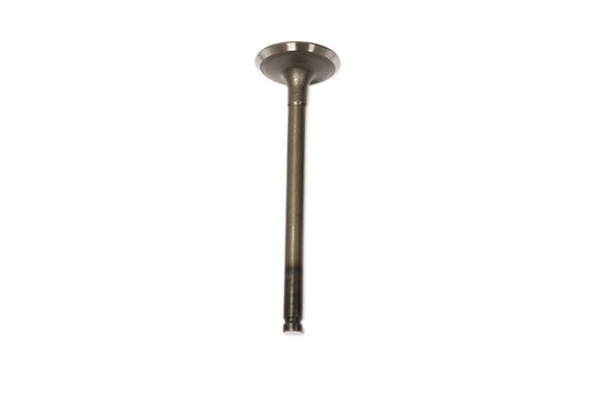 LGH10029L - VALVE-INLET-CYL - F1 - 1.8 4 CYL PET From ALLMAKES