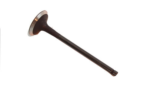 LR010698 - VALVE - EXHAUST From ALLMAKES