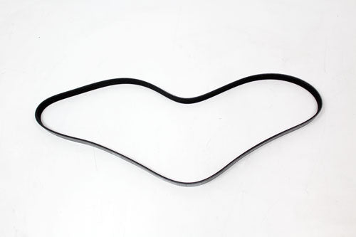 PQS100900 - DRIVE BELT - D1 - 2.0L PETROL From DAYCO