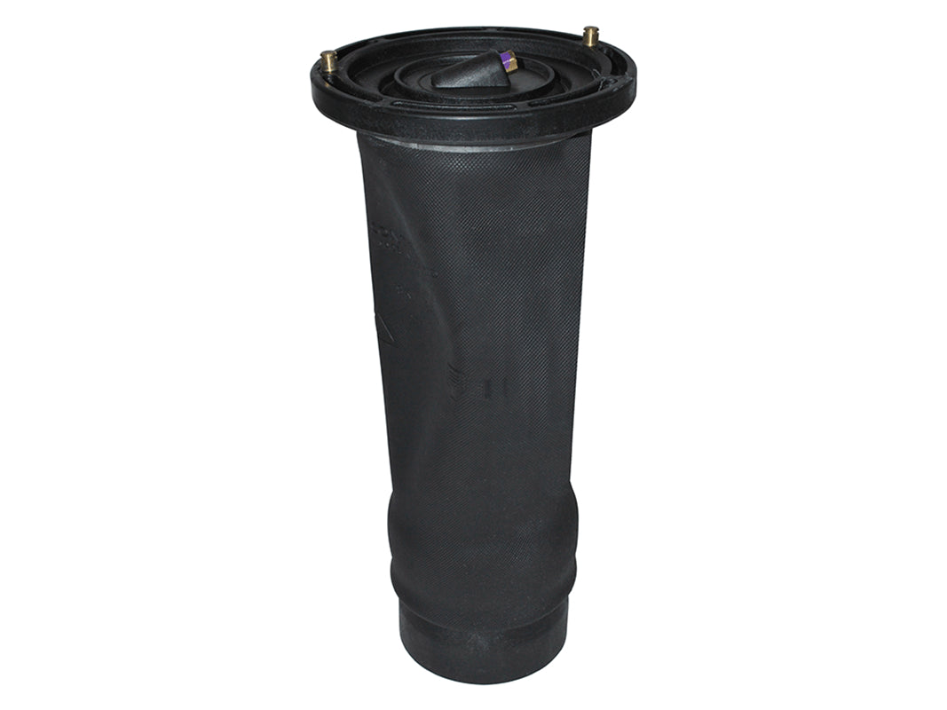 RKB101200D - SPRING ASSEMBLY - AIR - REAR SUSPENSION - Suitable for Discovery 2 From PR2 DUNLOP