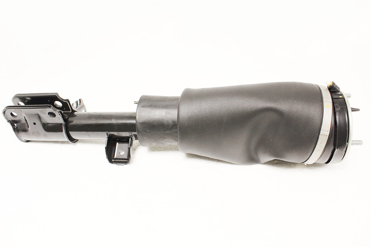 RNB000740W - SHOCK ABSORBER AND AIR SPRING - RH - Suitable for Range Rover 02-09 From PR2 BWI
