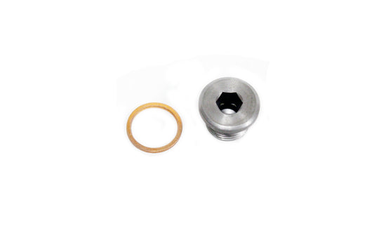 TYB100080 - PLUG - SUMP - FITS - D2 - RR P38 From PR2 CORTECO