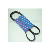 ERR2678 - DRIVE BELT - D1 - RRC - V8 From ALLMAKES